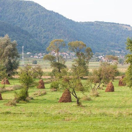 ホテルTime-Out - Valea Oltului Balota  エクステリア 写真